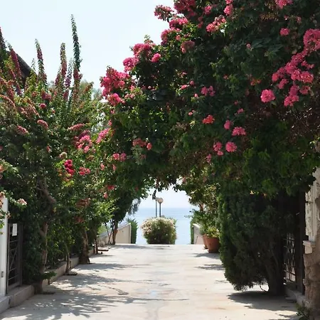 Lux-galatex Luxury Apart Λεμεσός